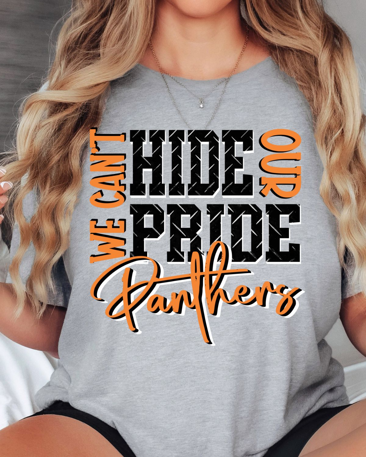 We Can't Hide Our Pride Panthers DTF Transfer