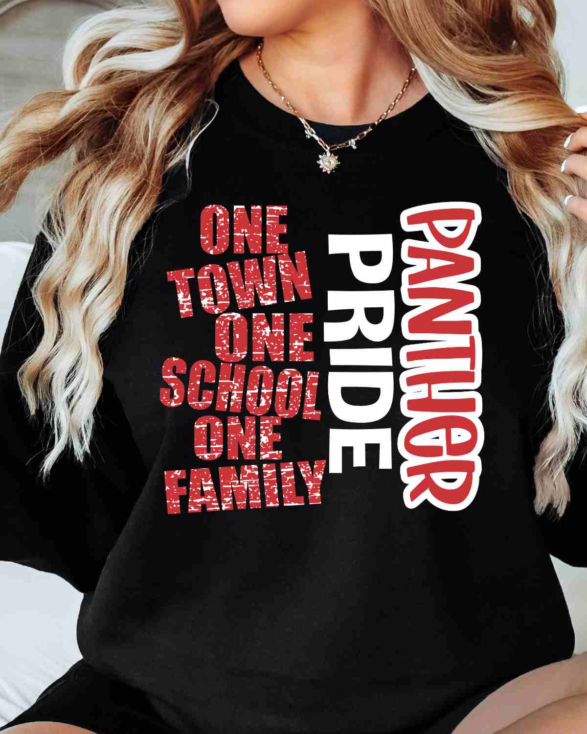 One Town One School Panther Pride DTF Transfer