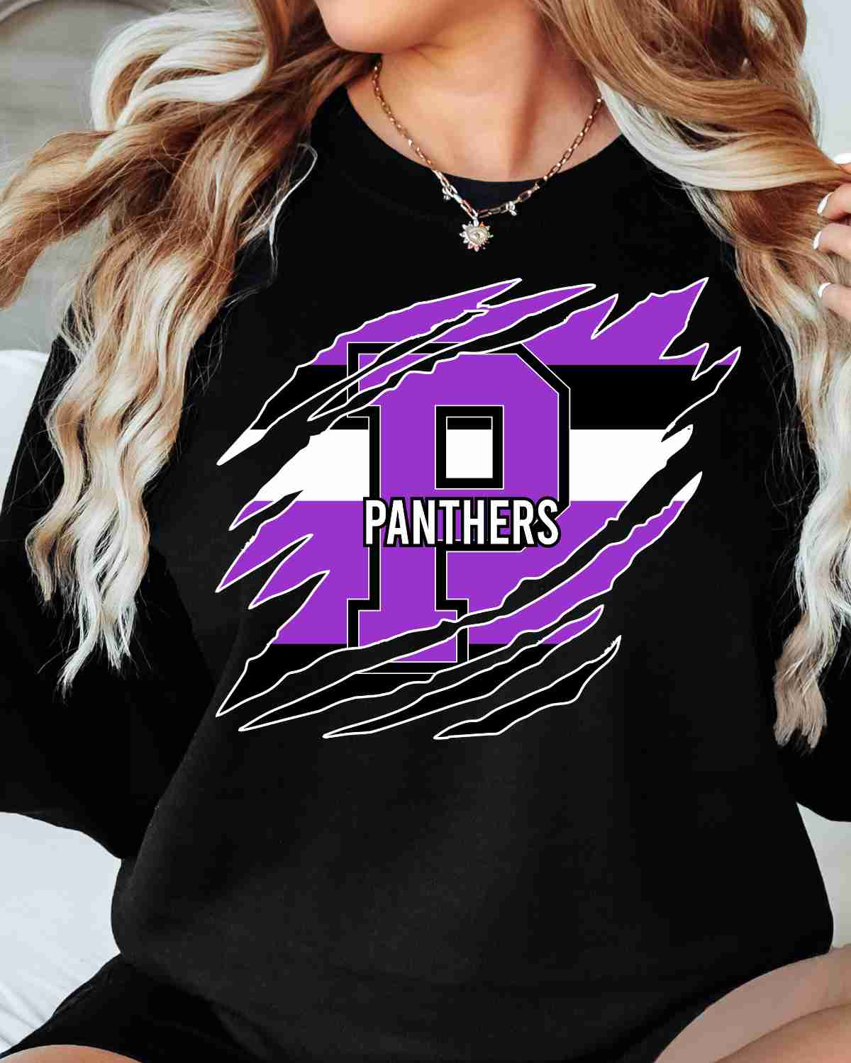 Panthers Swash Claw Mark DTF Transfer