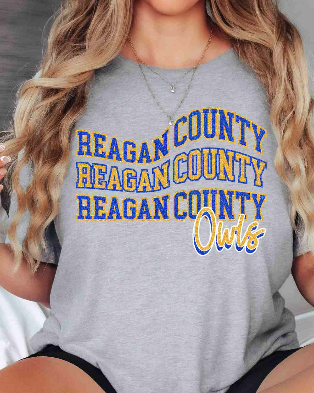 Reagan County Owls Swerve Word DTF Transfer