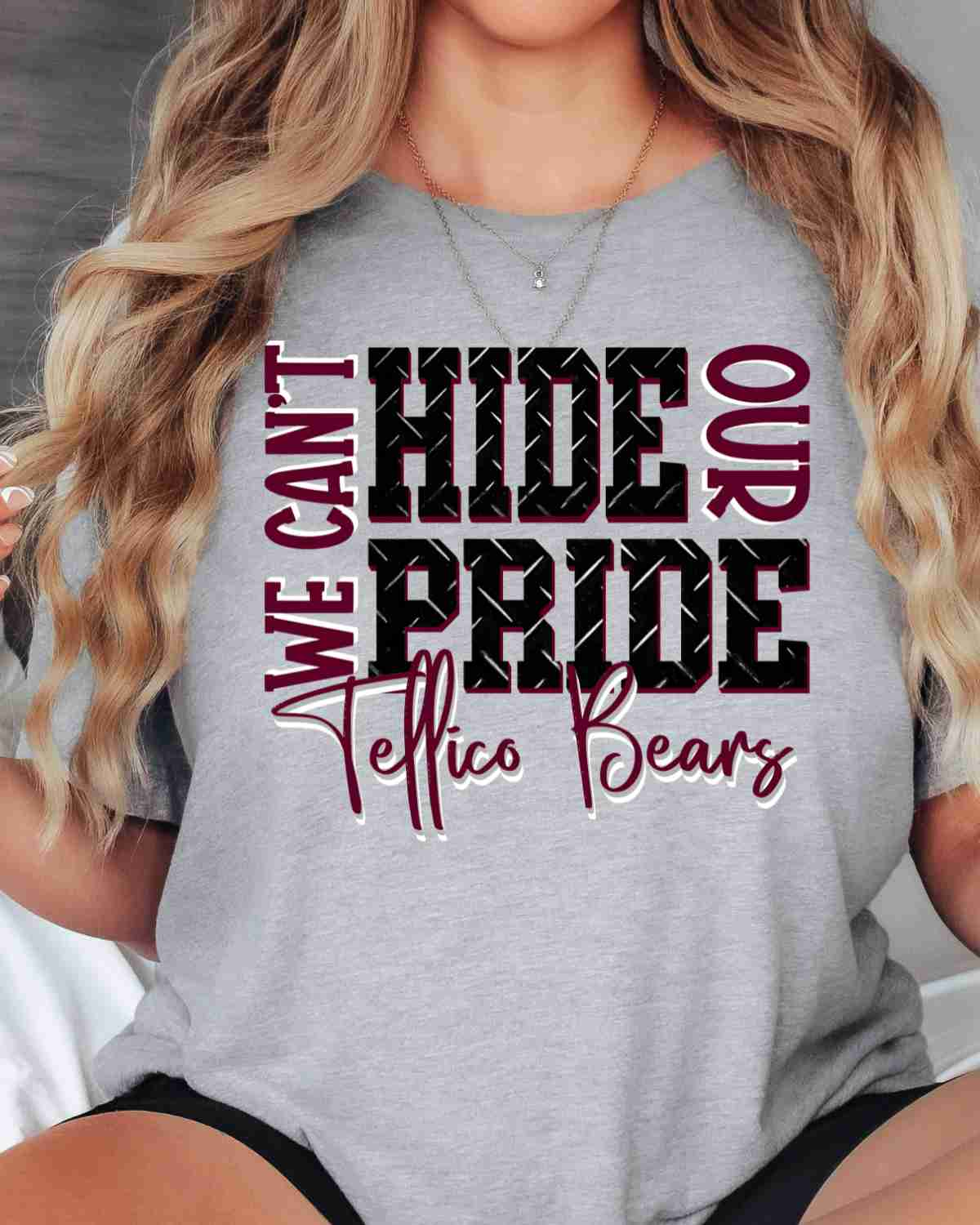 We Can't Hide Our Pride Tellico Bears DTF Transfer