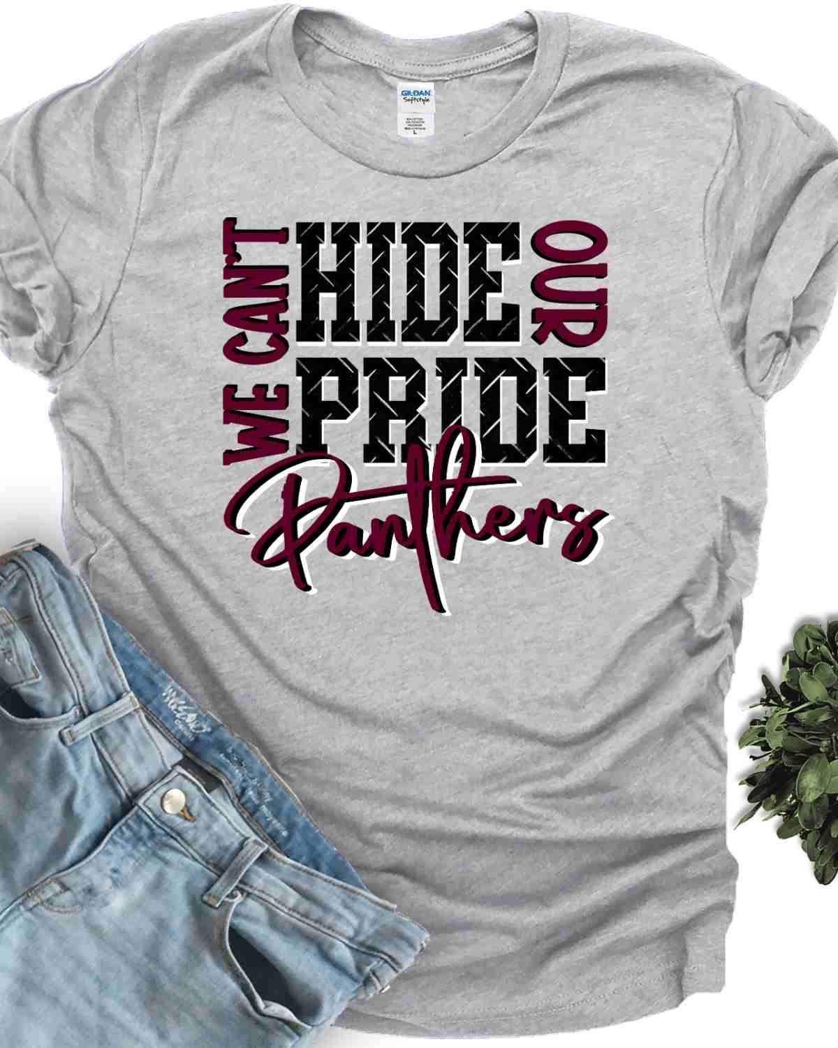 We Can't Hide Our Pride Panthers DTF Transfer