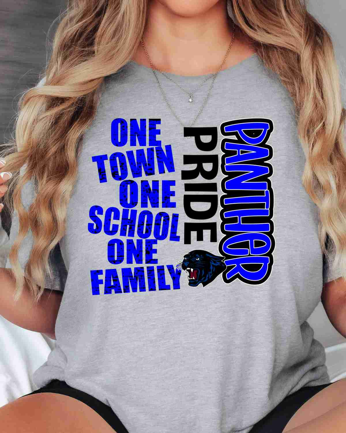 One Town One School Panther Pride DTF Transfer