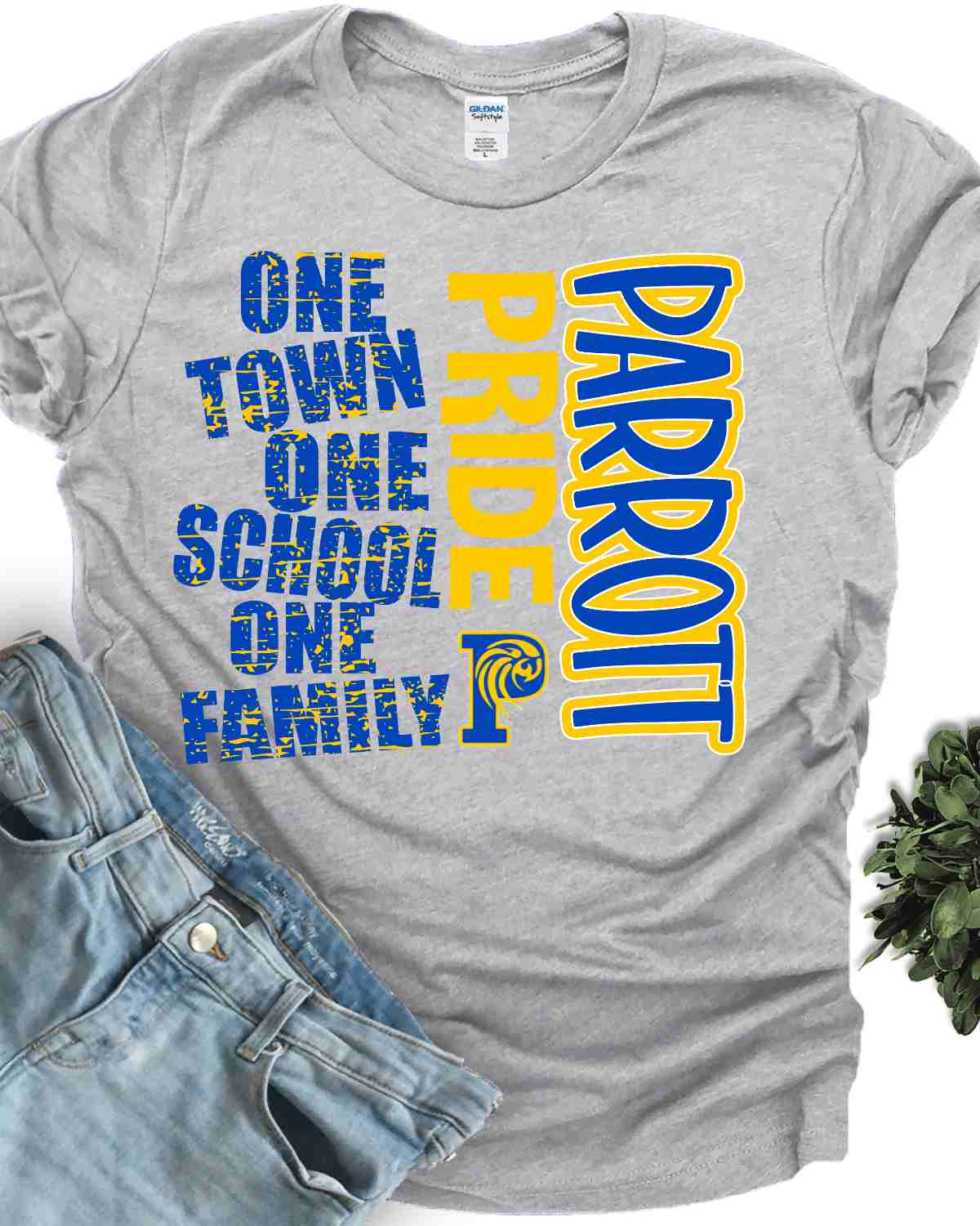 One Town One School Parrott Pride DTF Transfer