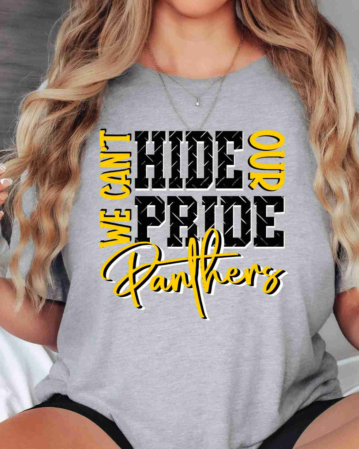 We Can't Hide Our Pride Panthers DTF Transfer