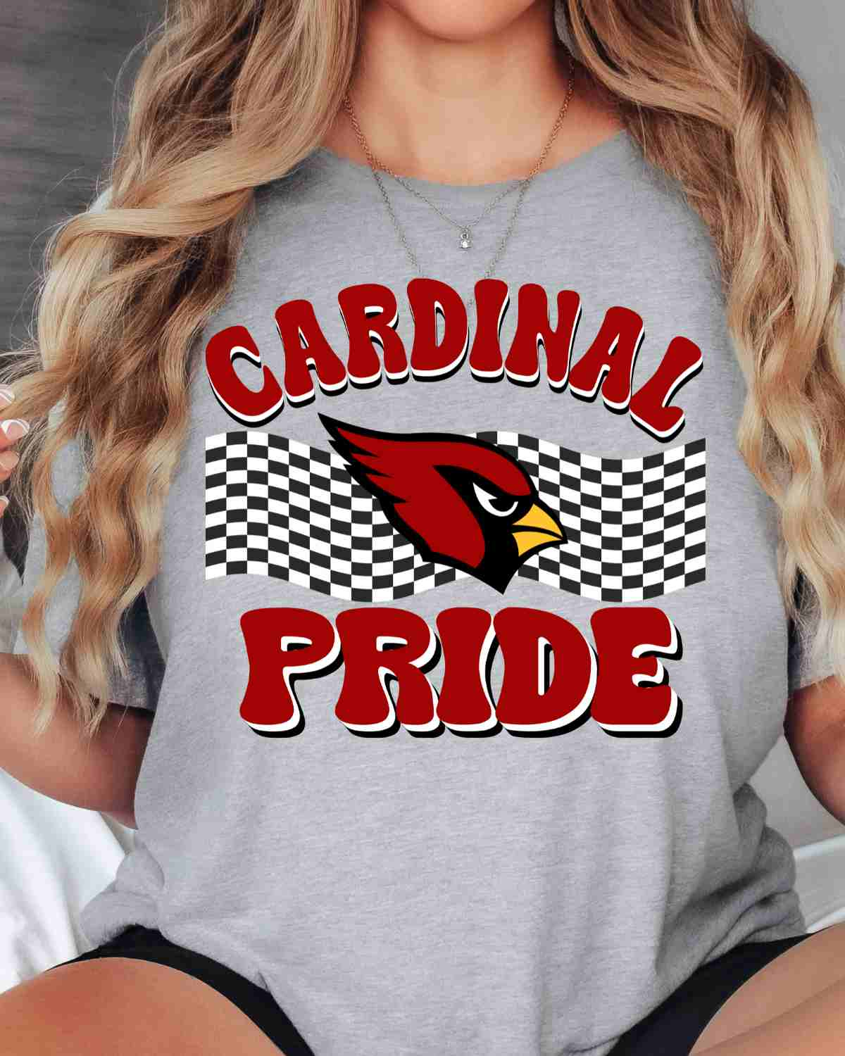 Cardinal Pride Checkered Banner DTF Transfer