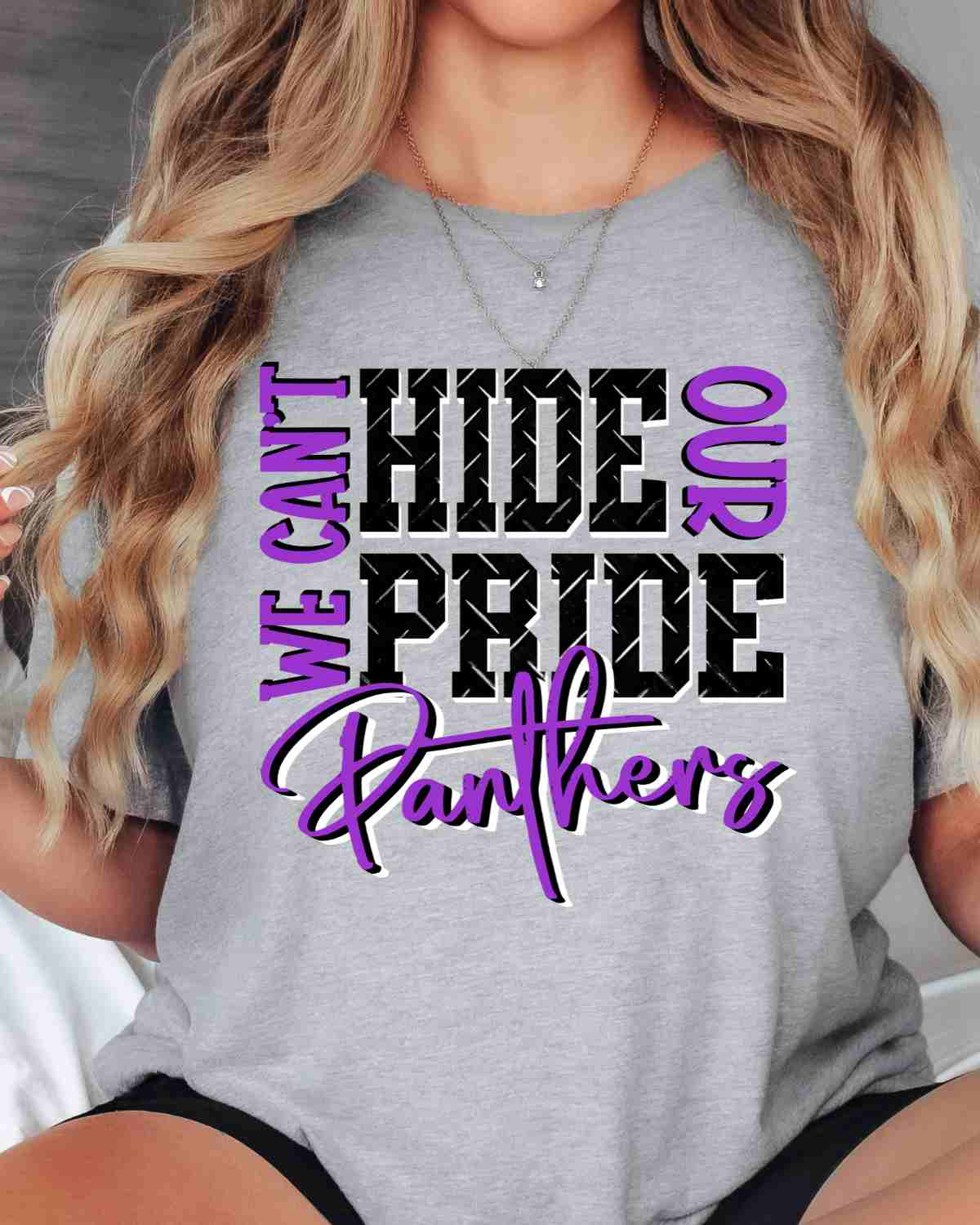 We Can't Hide Our Pride Panthers DTF Transfer