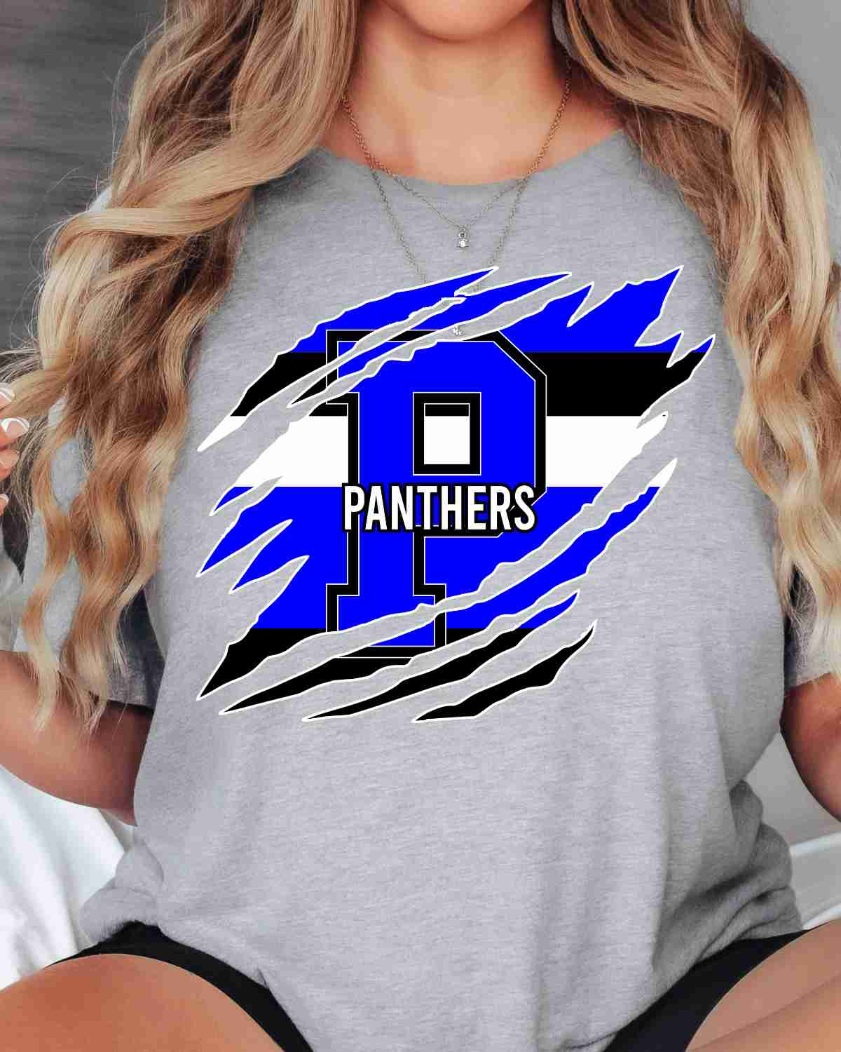 Panthers Swash Claw Mark DTF Transfer