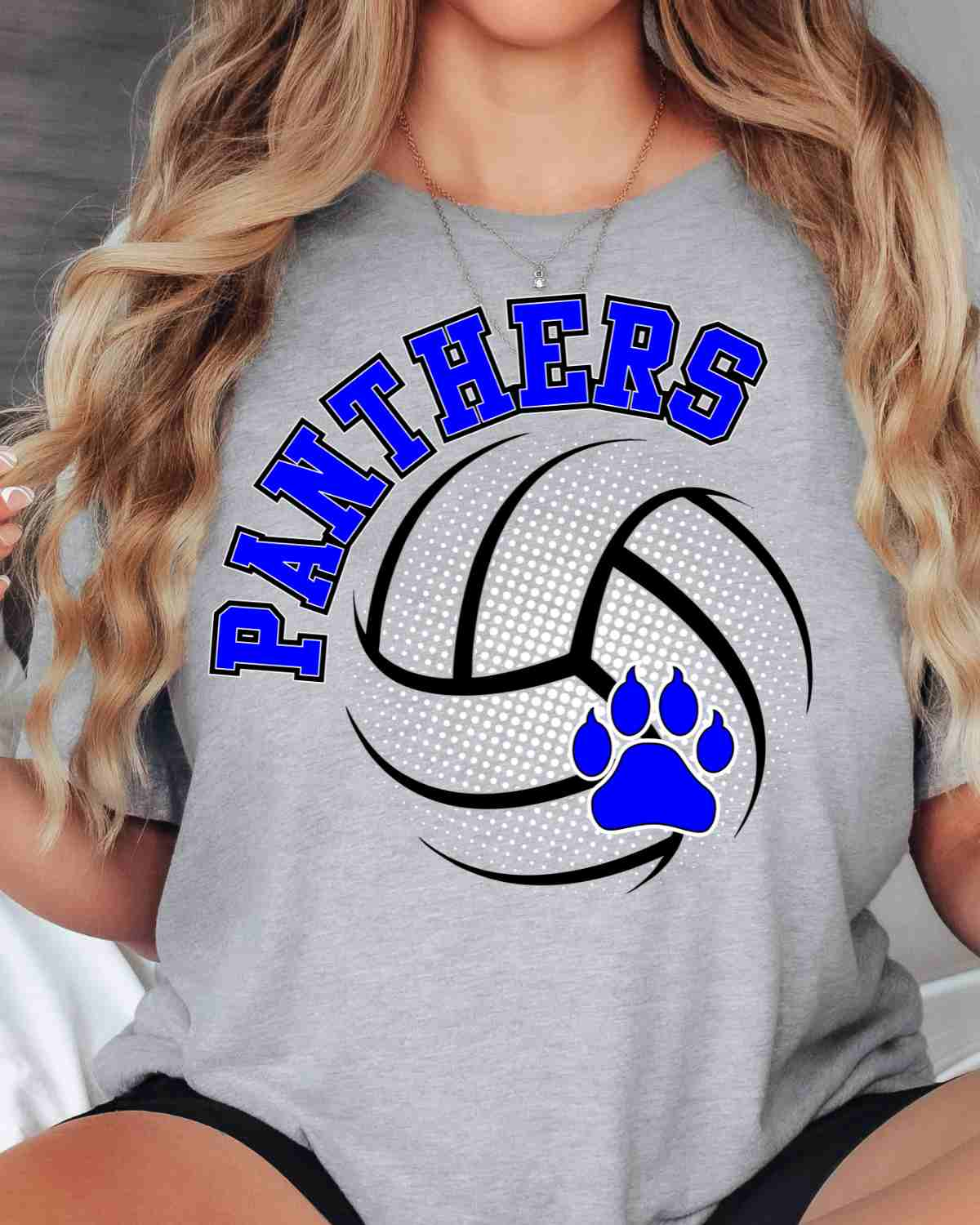 Panthers Volleyball Halftone DTF Transfer