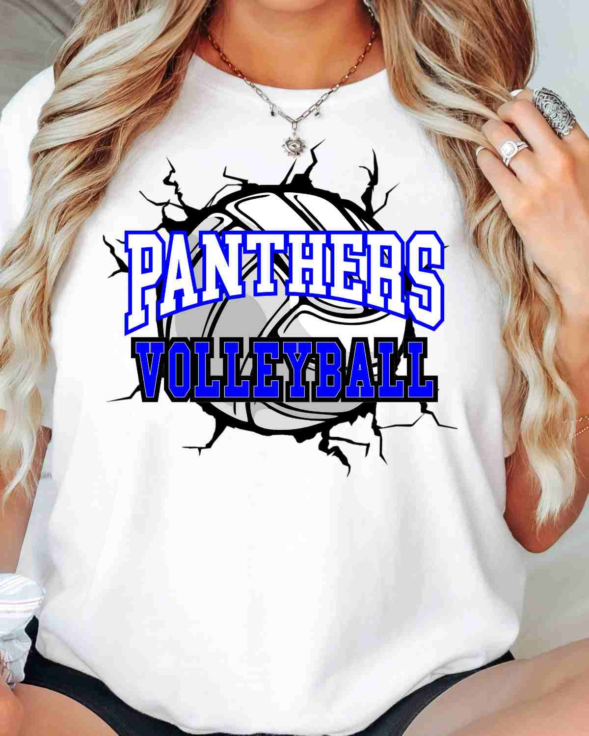 Panthers Volleyball Break Through DTF Transfer