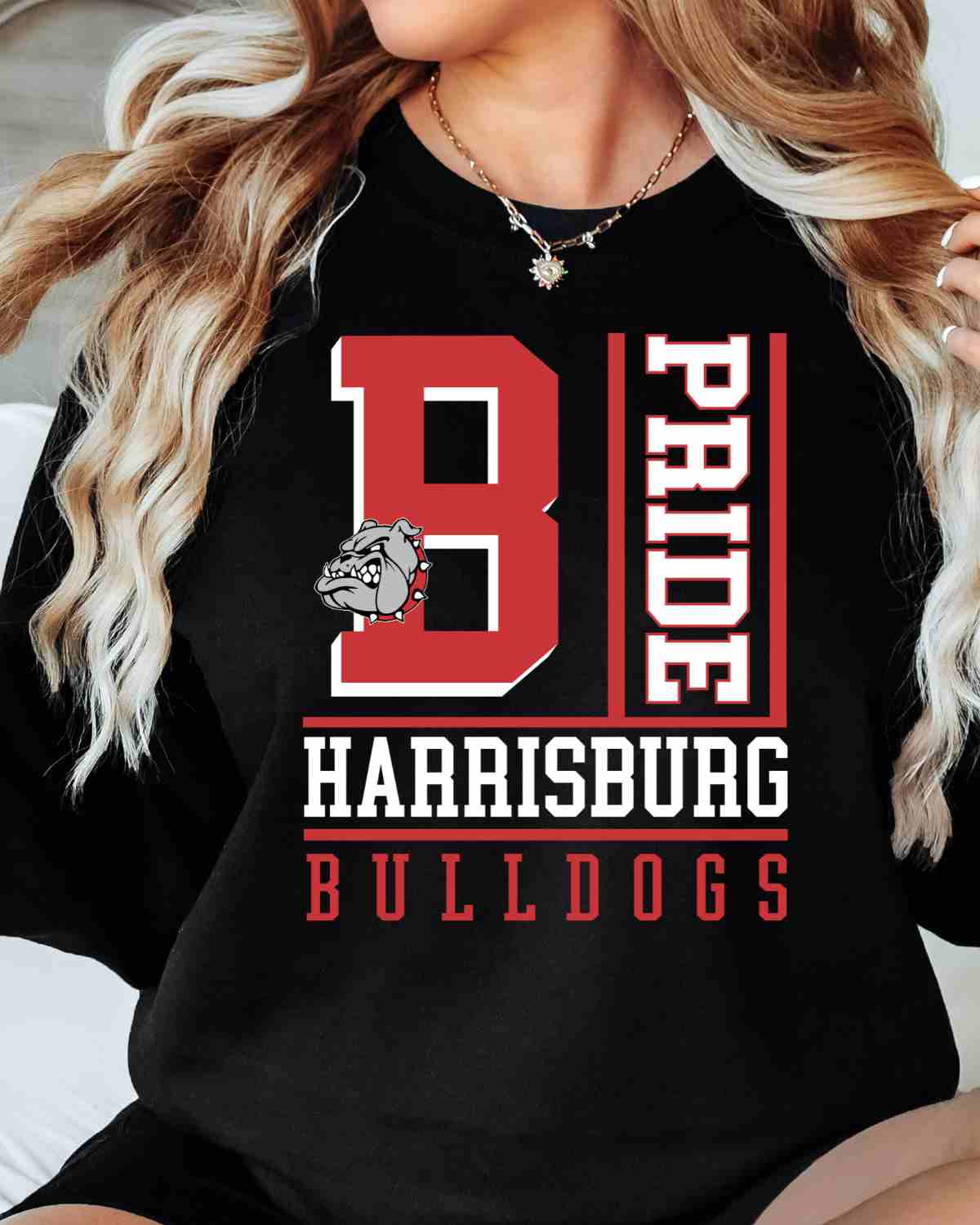 Harrisburg Bulldogs Pride Block DTF Transfer